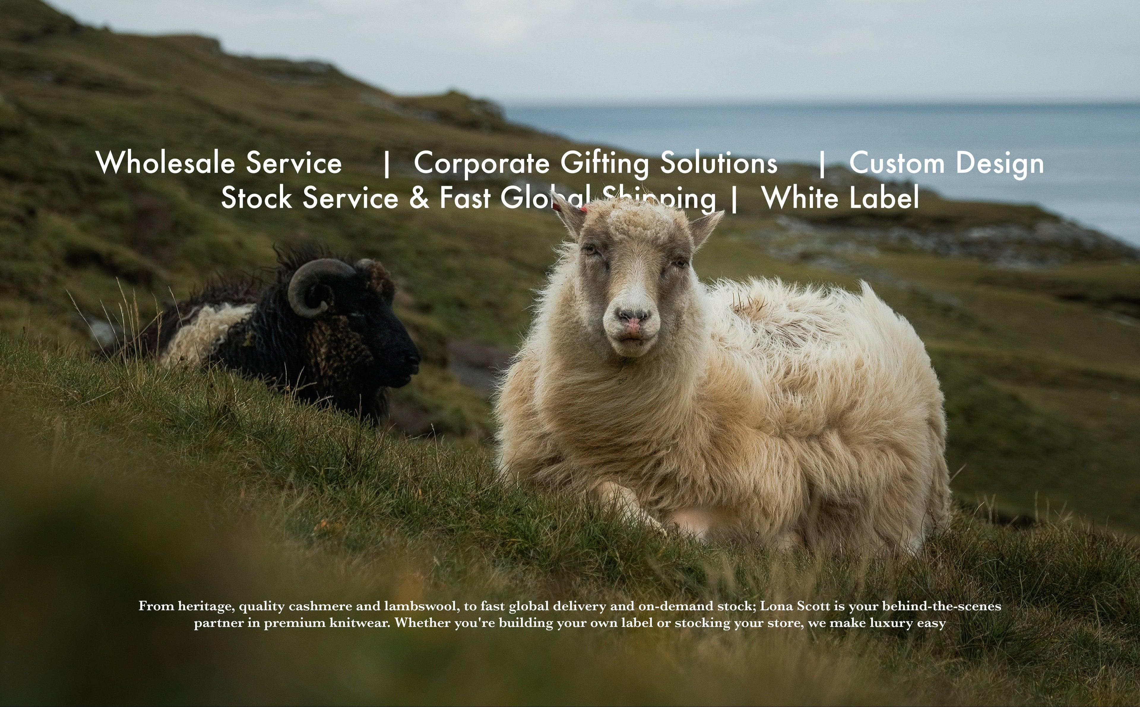 Sheep in a grassy field with promotional text overlay