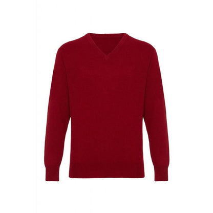 Men's Cashmere V Neck Jumper